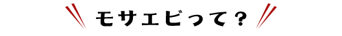 モサエビって？