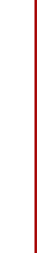 お酒と一緒に楽しんで