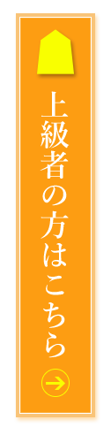 上級者の方はこちら