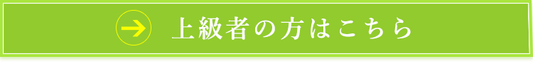 上級者の方はこちら