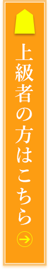 上級者の方はこちら